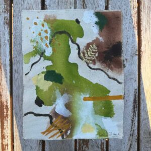 Rainforest Study 3